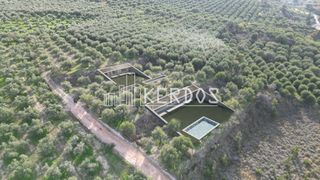 Βίλλα 300 τ.μ. για πώληση