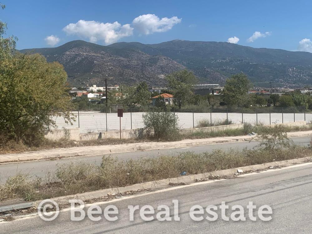 Αγροτεμάχια 9.827 τ.μ. πρός πώληση, Μαγνησία, Νέα Ιωνία Βόλου