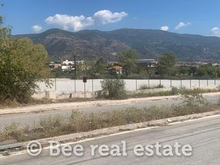 Αγροτεμάχια 9.827 τ.μ. για πώληση