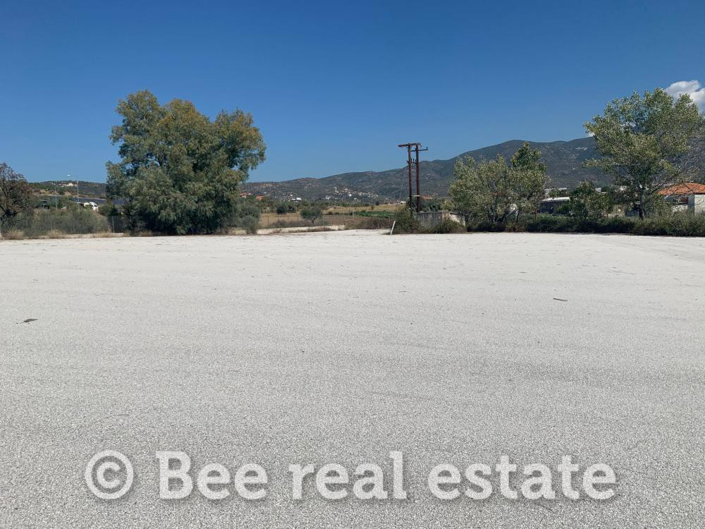 Αγροτεμάχια 9.827 τ.μ. πρός πώληση, Μαγνησία, Νέα Ιωνία Βόλου