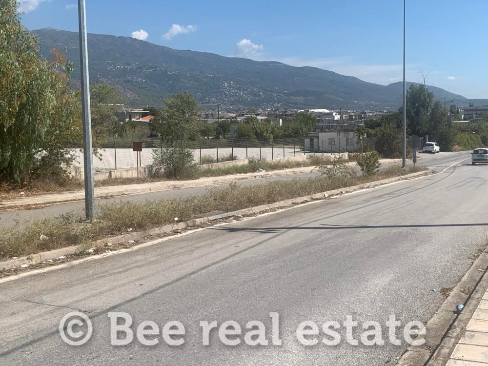 Αγροτεμάχια 9.827 τ.μ. πρός πώληση, Μαγνησία, Νέα Ιωνία Βόλου