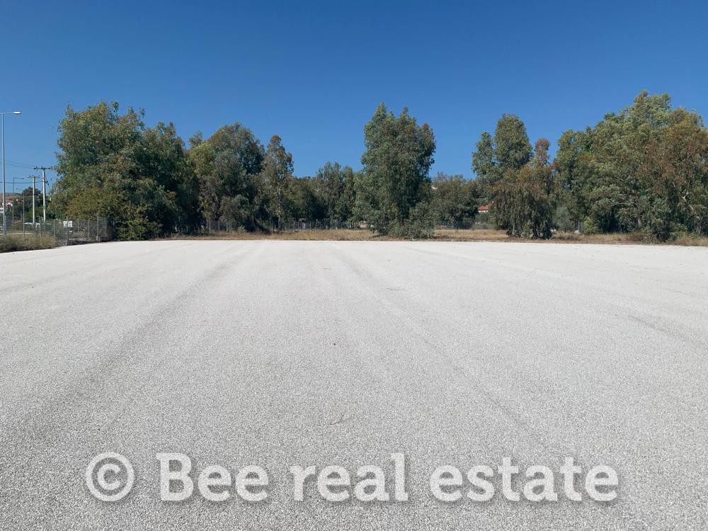 Αγροτεμάχια 9.827 τ.μ. πρός πώληση, Μαγνησία, Νέα Ιωνία Βόλου
