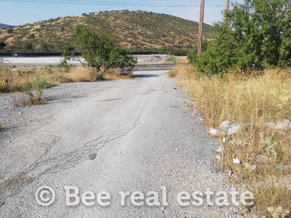 Αγροτεμάχια 18.000 τ.μ. πρός πώληση, Μαγνησία, Αισωνία