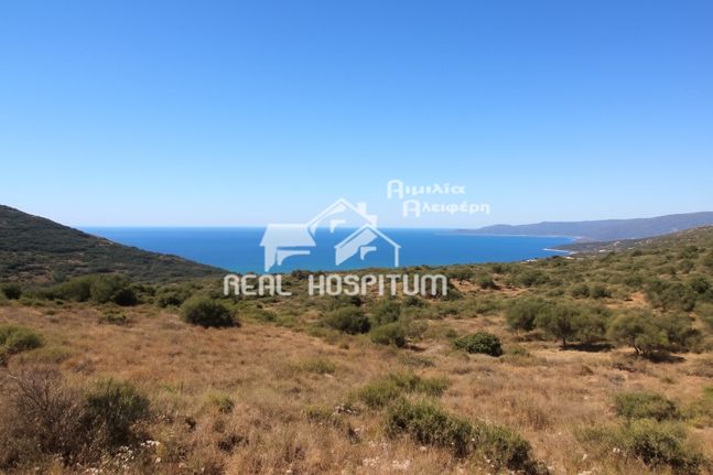 Οικόπεδο 27.000 τ.μ. για πώληση, Λακωνία, Ανατολική Μάνη