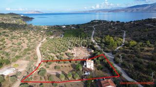 Detached home 303 sqm for sale