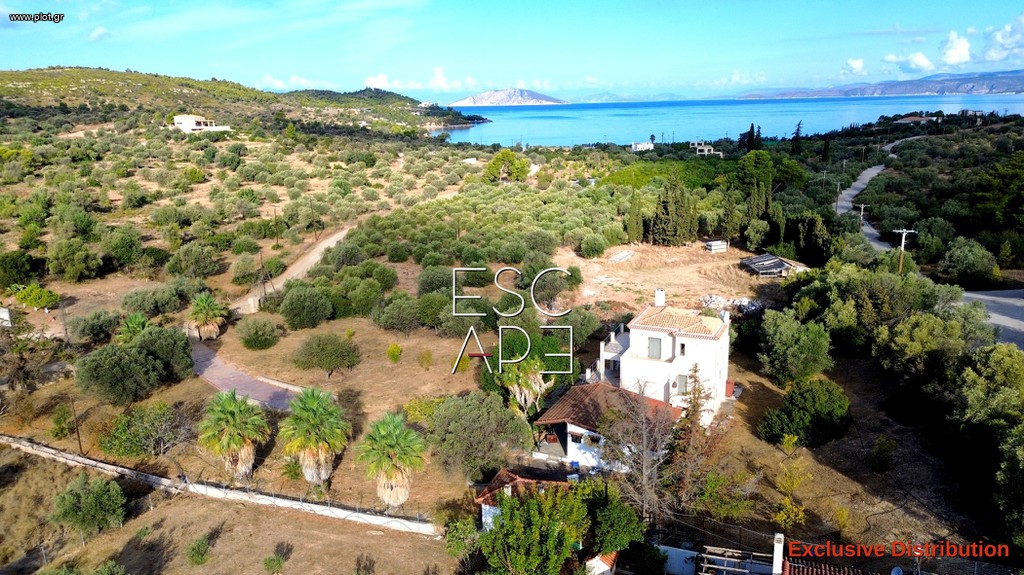 Μονοκατοικία 303 τ.μ. προς πώληση, Θυνί