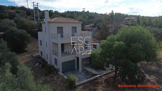 Μονοκατοικία 303 τ.μ. για πώληση, Αργολίδα, Κρανίδι-thumb-4