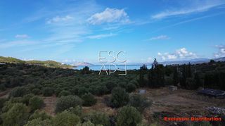 Μονοκατοικία 303 τ.μ. για πώληση, Αργολίδα, Κρανίδι-thumb-12