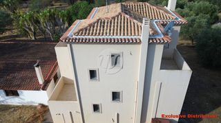 Μονοκατοικία 303 τ.μ. για πώληση, Αργολίδα, Κρανίδι-thumb-11