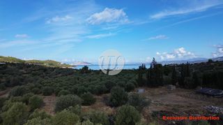 Μονοκατοικία 303 τ.μ. για πώληση, Αργολίδα, Κρανίδι-thumb-12