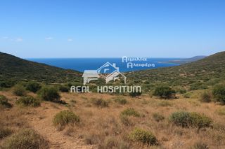 Οικόπεδο 23.900 τ.μ. για πώληση