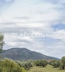 Αγροτεμάχια 74.557 τ.μ. για πώληση