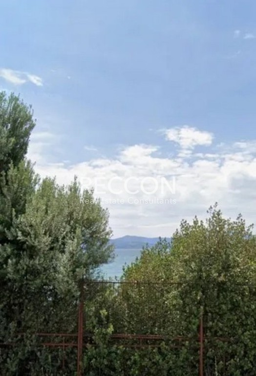 Αγροτεμάχια 74.557 τ.μ. προς πώληση, Μαγούλα Ερέτριας