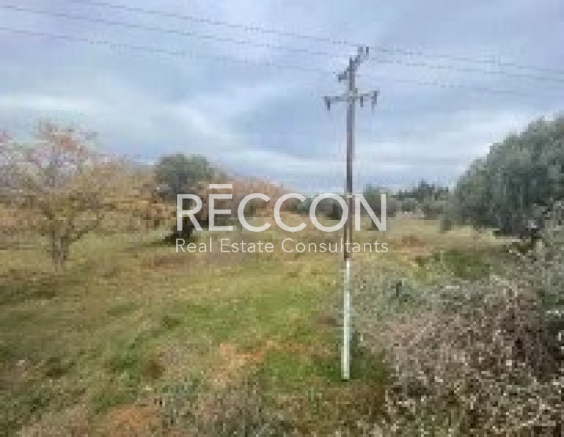 Αγροτεμάχια 74.557 τ.μ. προς πώληση, Μαγούλα Ερέτριας