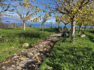 Οικόπεδο 2.788 τ.μ. για πώληση, Αχαΐα, Αίγιο-thumb-5