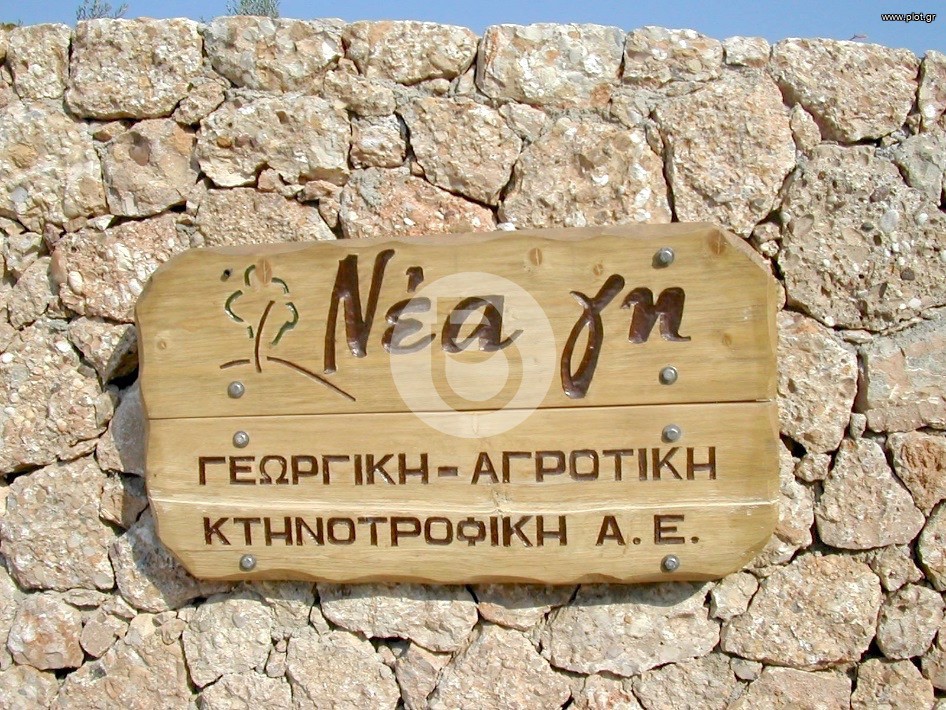 Επαγγελματικό 44.600 τ.μ. προς πώληση, Αργολίδα, Κρανίδι