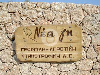 Επαγγελματικό 44.600 τ.μ. πρός πώληση, Αργολίδα, Κρανίδι-thumb-3