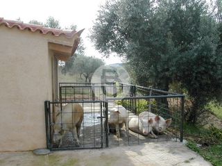 Επαγγελματικό 44.600 τ.μ. πρός πώληση, Αργολίδα, Κρανίδι-thumb-9