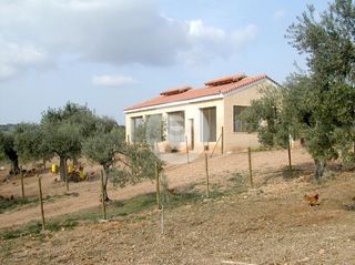 Επαγγελματικό 44.600 τ.μ. πρός πώληση, Αργολίδα, Κρανίδι-thumb-10