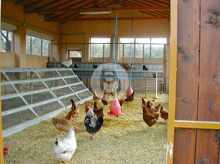 Επαγγελματικό 44.600 τ.μ. πρός πώληση, Αργολίδα, Κρανίδι-thumb-11