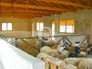 Επαγγελματικό 44.600 τ.μ. πρός πώληση, Αργολίδα, Κρανίδι-thumb-12