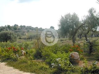 Επαγγελματικό 44.600 τ.μ. πρός πώληση, Αργολίδα, Κρανίδι-thumb-15