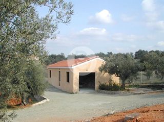 Επαγγελματικό 44.600 τ.μ. πρός πώληση, Αργολίδα, Κρανίδι-thumb-17