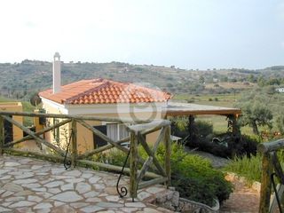 Επαγγελματικό 44.600 τ.μ. πρός πώληση, Αργολίδα, Κρανίδι-thumb-18