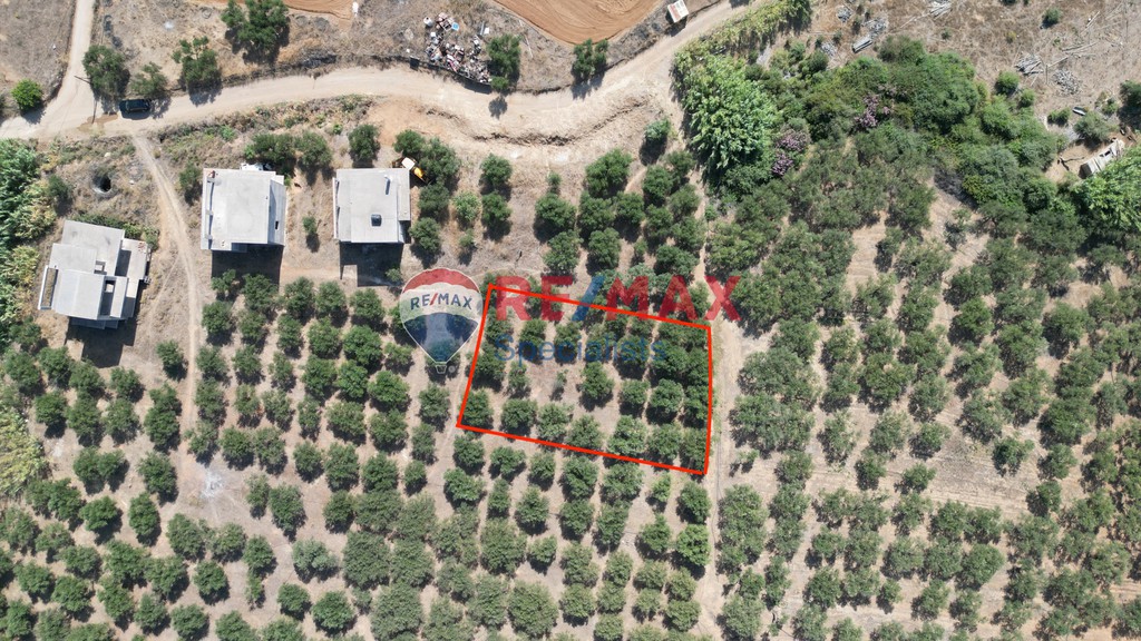 Οικόπεδο 1.133 τ.μ. προς πώληση, Κίσσαμος