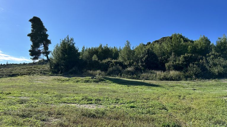 Parcel 5.056 sqm for sale, Chalkidiki, Pallini