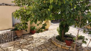 Μονοκατοικία 140 τ.μ. για πώληση, Μεσσηνία, Ανδρούσα-thumb-18