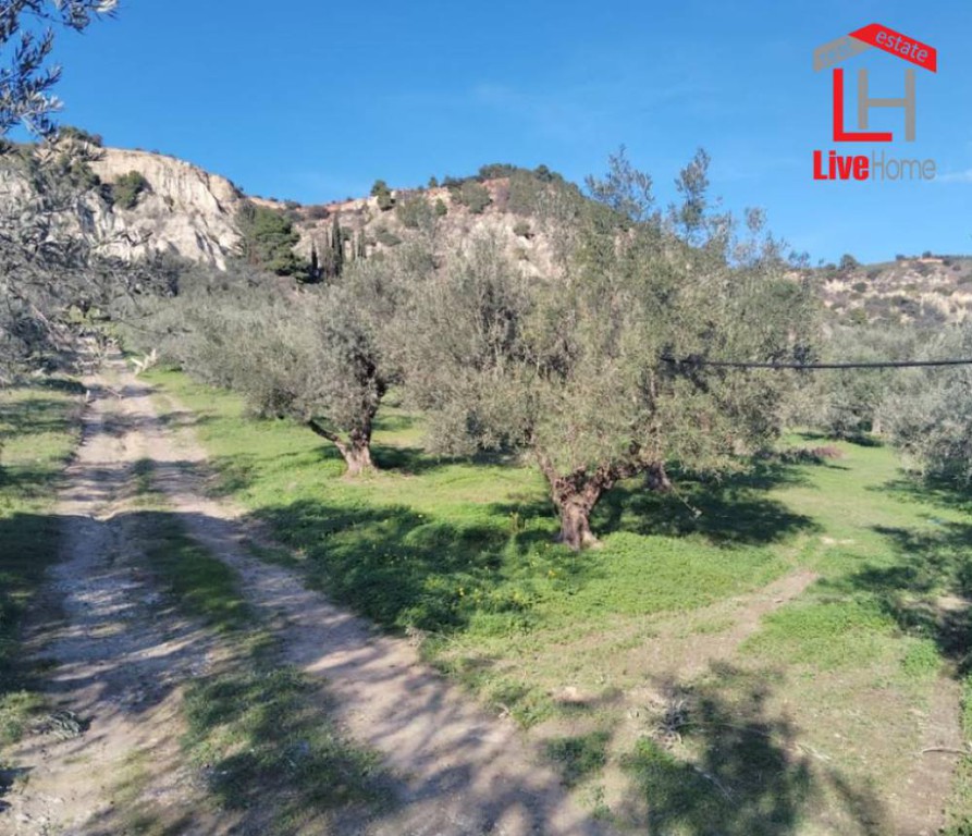 Αγροτεμάχια 3.450 τ.μ. πρός πώληση, Κορινθία, Σικυώνα