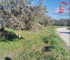 Αγροτεμάχια 3.450 τ.μ. για πώληση