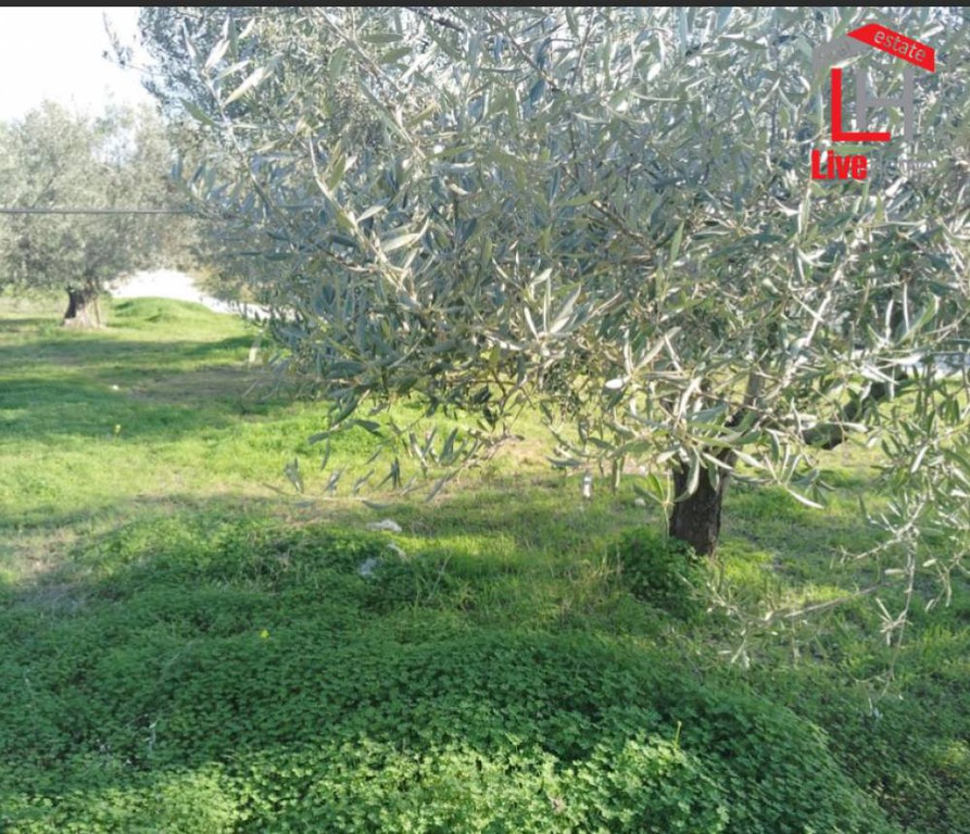 Αγροτεμάχια 3.450 τ.μ. πρός πώληση, Κορινθία, Σικυώνα