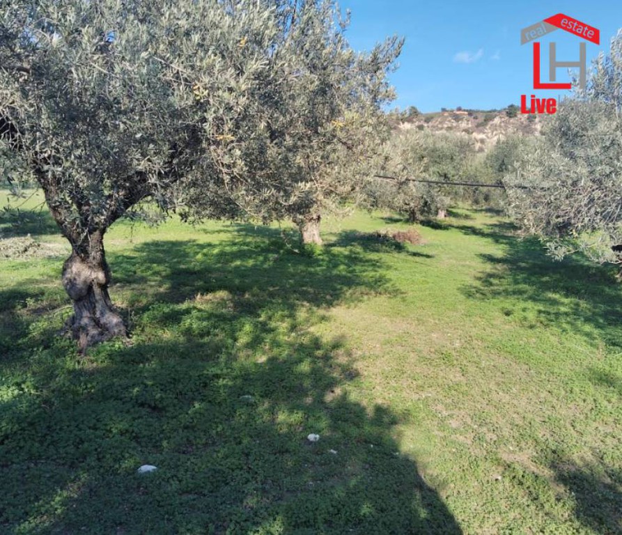 Αγροτεμάχια 3.450 τ.μ. πρός πώληση, Κορινθία, Σικυώνα