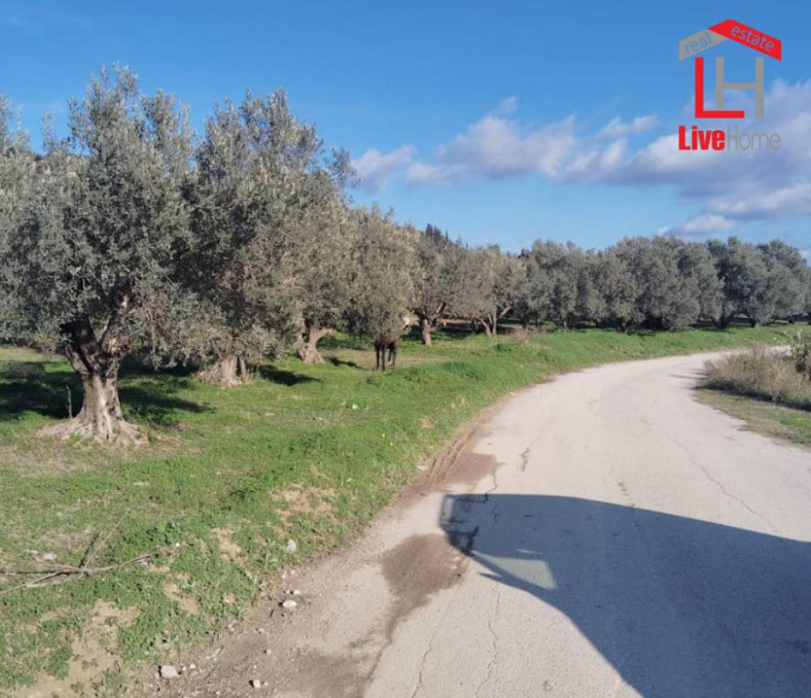 Αγροτεμάχια 3.450 τ.μ. πρός πώληση, Κορινθία, Σικυώνα