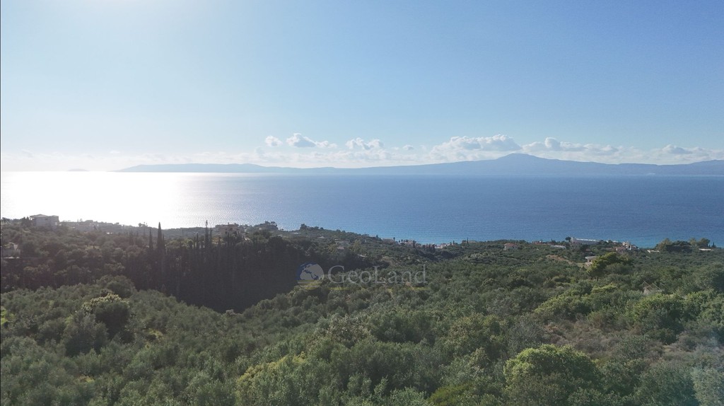 Αγροτεμάχια 42.000 τ.μ. προς πώληση, Αρχοντικό Αβίας