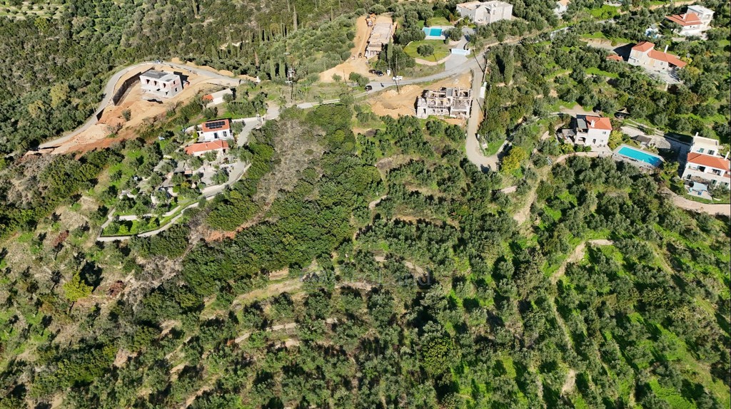 Αγροτεμάχια 42.000 τ.μ. προς πώληση, Αρχοντικό Αβίας