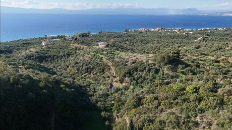Parcel 42.000 sqm for sale