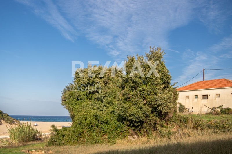 Μονοκατοικία 4.138 τ.μ. πρός πώληση, Μαγνησία, Αργαλαστή
