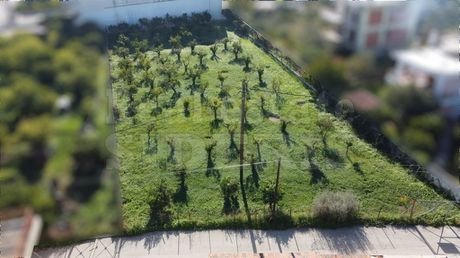 Land plot 1.590 sqm for sale