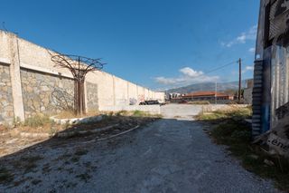 Κατάστημα 570 τ.μ. για πώληση, Μαγνησία, Βόλος-thumb-19