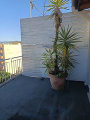 Studio / γκαρσονιέρα 28 τ.μ. για πώληση, Αχαΐα, Πάτρα-thumb-16