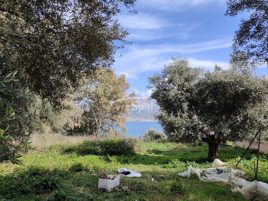Οικόπεδο 12.513 τ.μ. πρός πώληση, Αιτωλοακαρνανία, Ανακτόριο