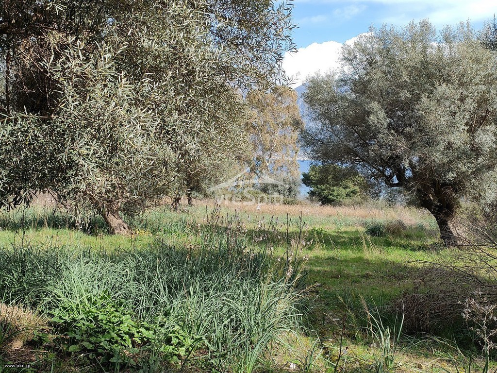 Οικόπεδο 12.513 τ.μ. πρός πώληση, Αιτωλοακαρνανία, Ανακτόριο