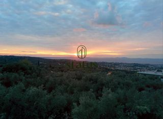 Διαμέρισμα 95 τ.μ. για ενοικίαση, Αχαΐα, Μεσσατίδα-thumb-15