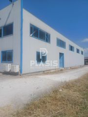 Αγροτεμάχια 10.000 τ.μ. για πώληση
