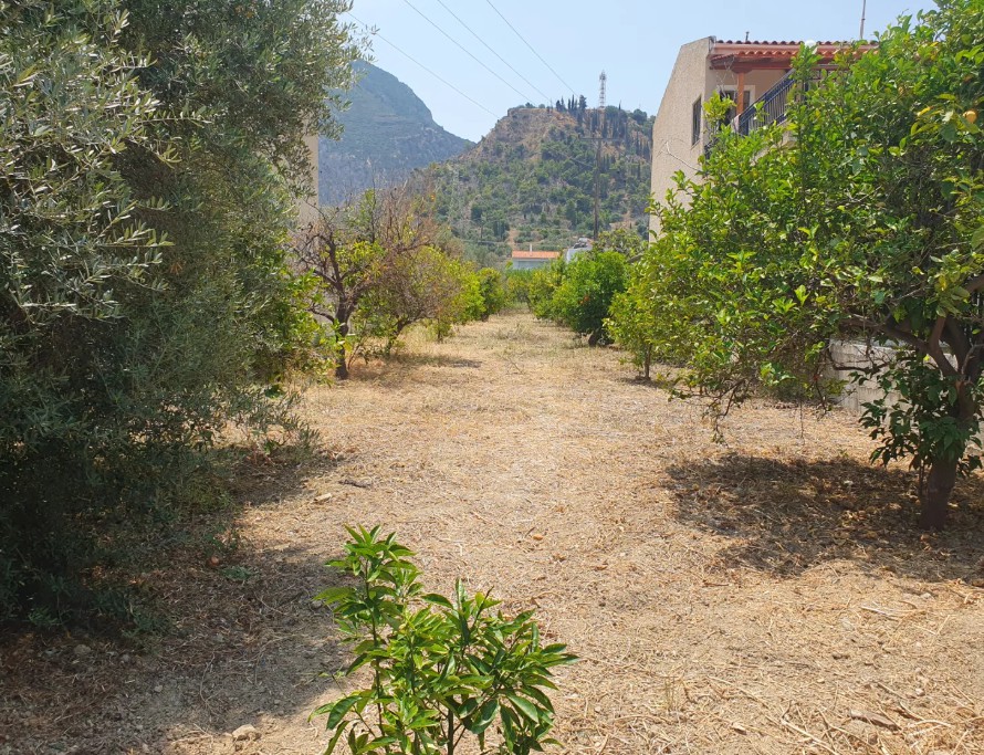 Οικόπεδο 694 τ.μ. προς πώληση, Κάτω Λουτρό