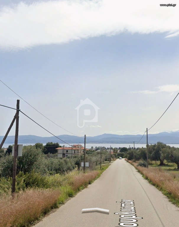Αγροτεμάχια 3.200 τ.μ. προς πώληση, Μαλακώντα