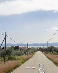 Αγροτεμάχια 3.200 τ.μ. για πώληση